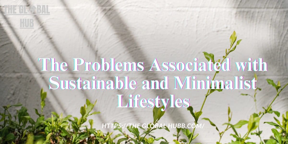 The Problems Associated with Sustainable and Minimalist Lifestyles